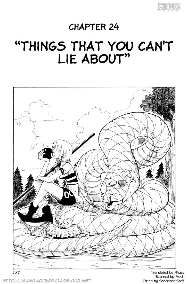One Piece, Chapter 24 image 01